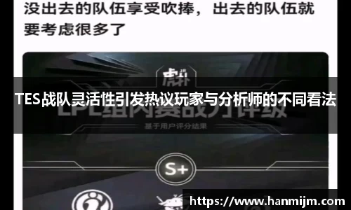 TES战队灵活性引发热议玩家与分析师的不同看法