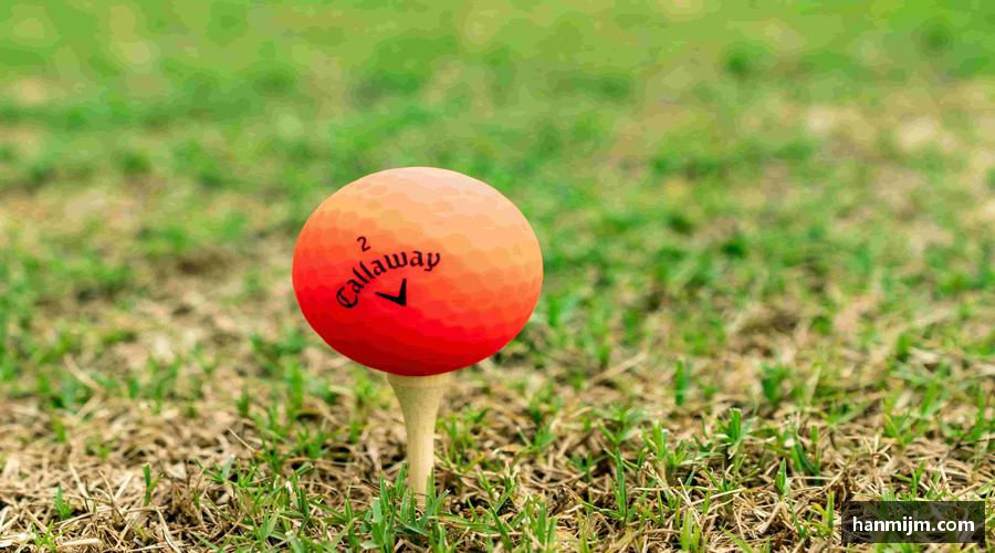 k1体育十年品牌值得信赖精彩瞬间，尽在体育